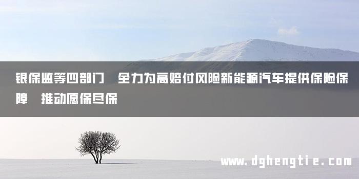 银保监等四部门 全力为高赔付风险新能源汽车提供保险保障 推动愿保尽保